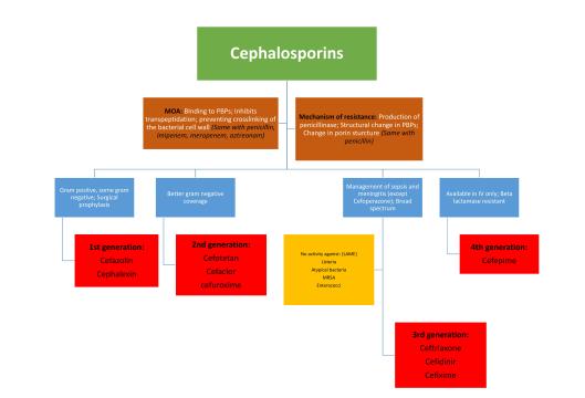Cephalosporins flowchart-page-001